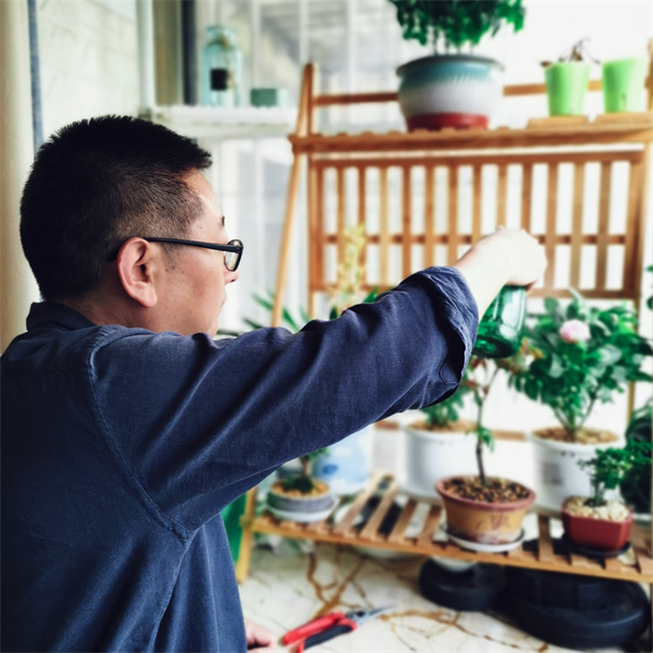 维多利亚老品牌vic(集团)官方网站