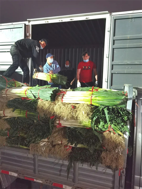 维多利亚老品牌vic(集团)官方网站