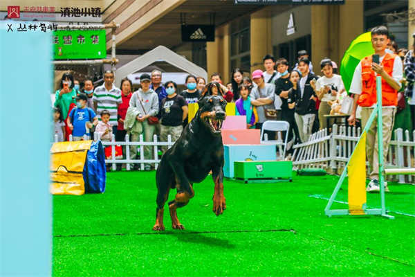 维多利亚老品牌vic(集团)官方网站