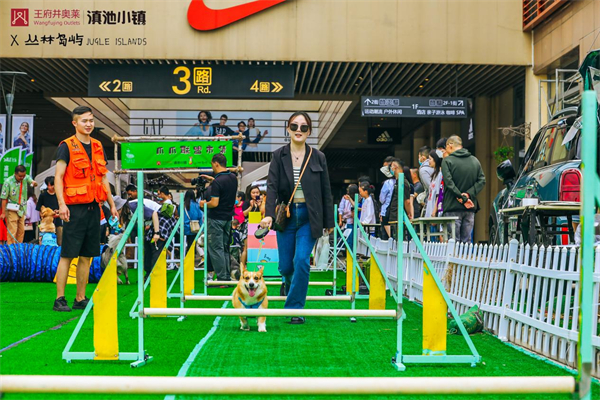 维多利亚老品牌vic(集团)官方网站