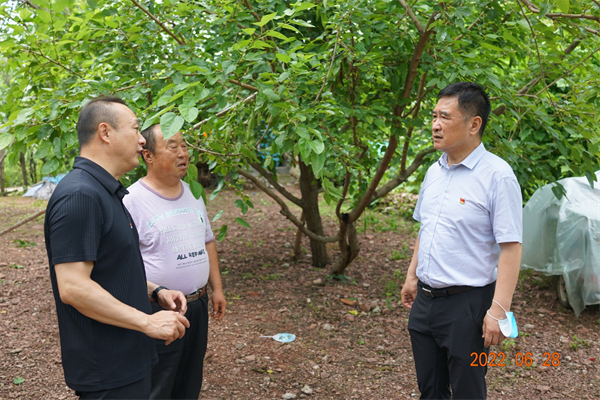 维多利亚老品牌vic(集团)官方网站