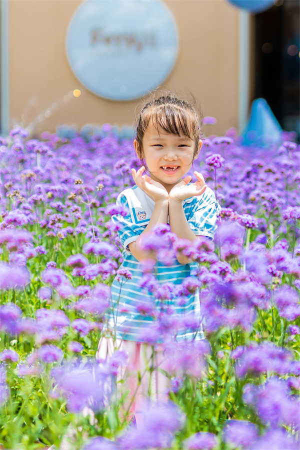 维多利亚老品牌vic(集团)官方网站