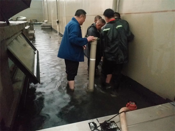 维多利亚老品牌vic(集团)官方网站