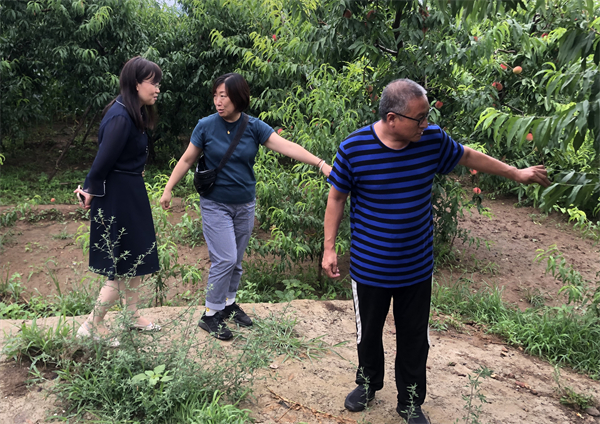 维多利亚老品牌vic(集团)官方网站